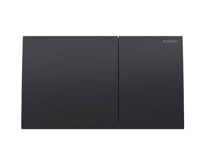 A black, dual flush button access plate